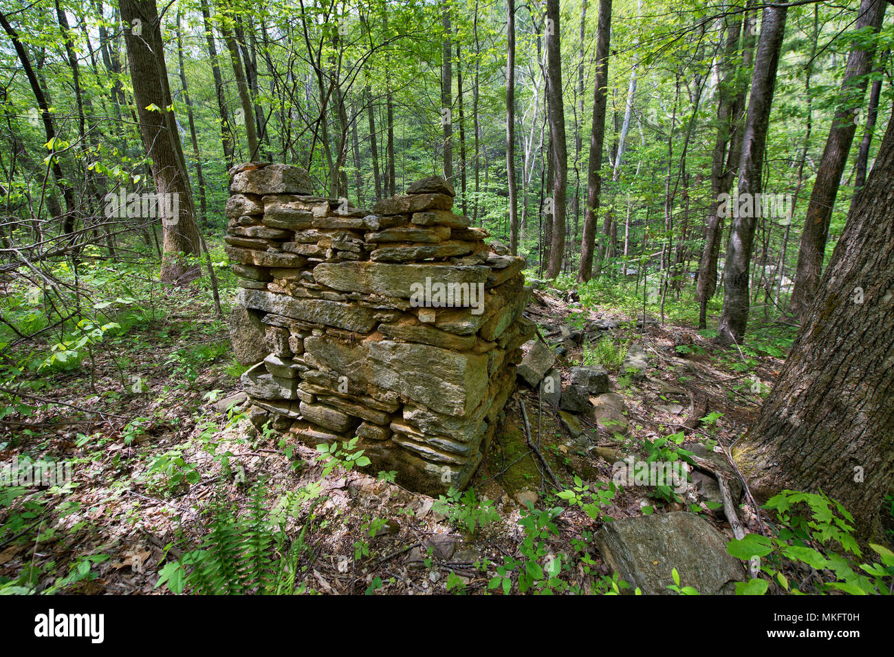 United States May 07 2018 Homesteader Or Pioneer Cabin Ruins