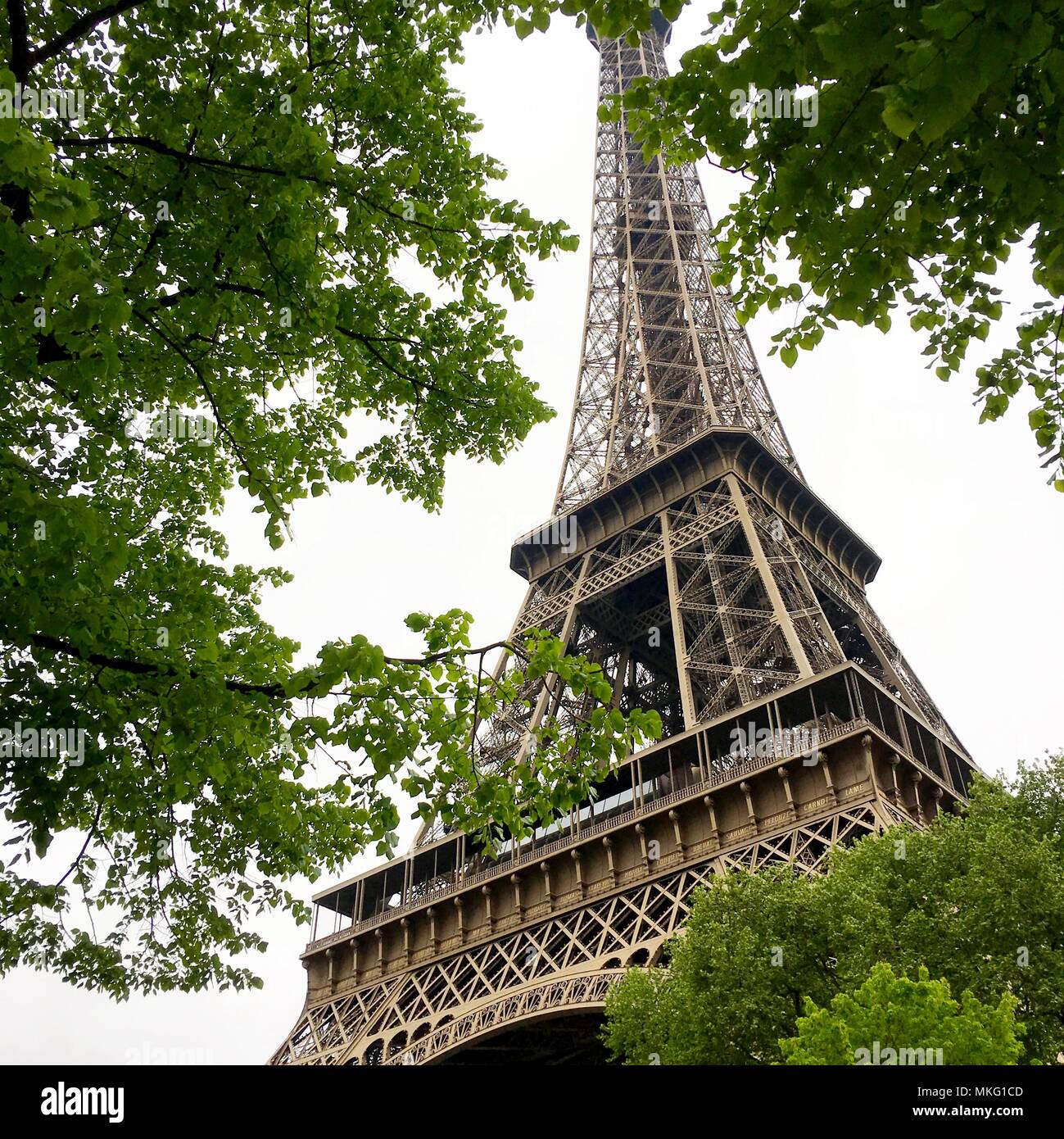 Detail of the Eiffel Tower, Paris France Stock Photo