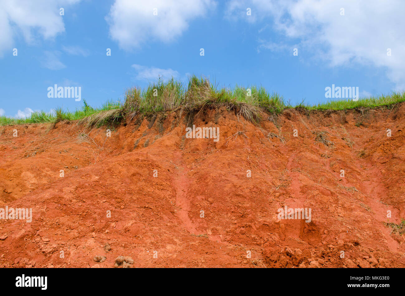 wildlife salt lick at Khao Yai national park, Thailand Stock Photo Alamy