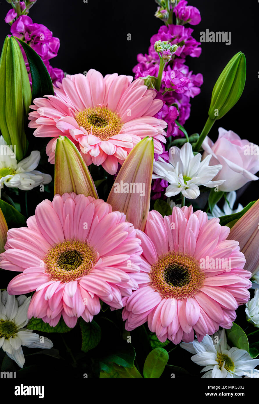 a beautiful colourful bouquet of various flowers Stock Photo