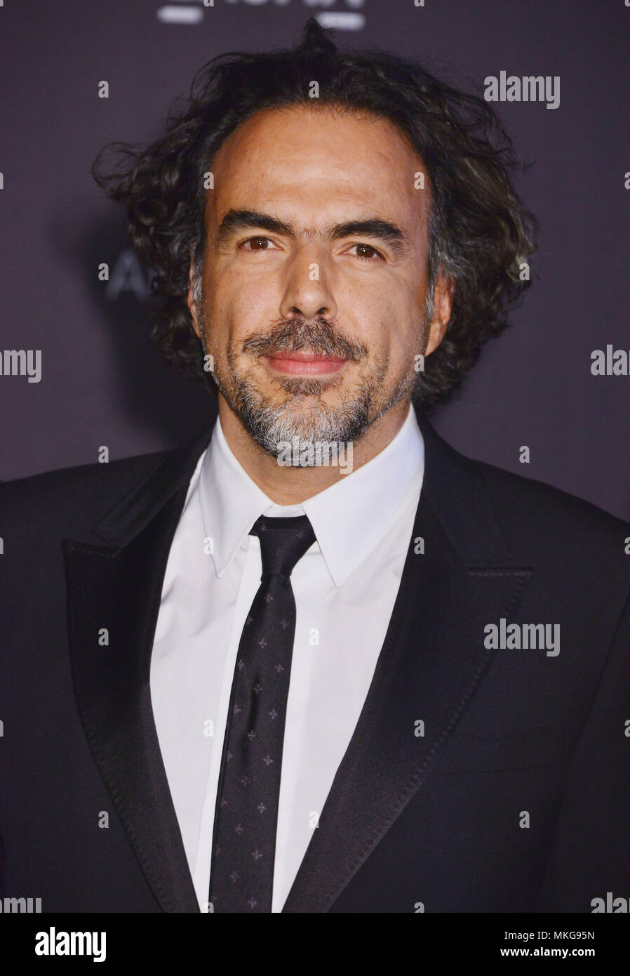 a Alejandro Inarritu 041 - at LACMA 2015 Art+Film Gala at the LACMA ...