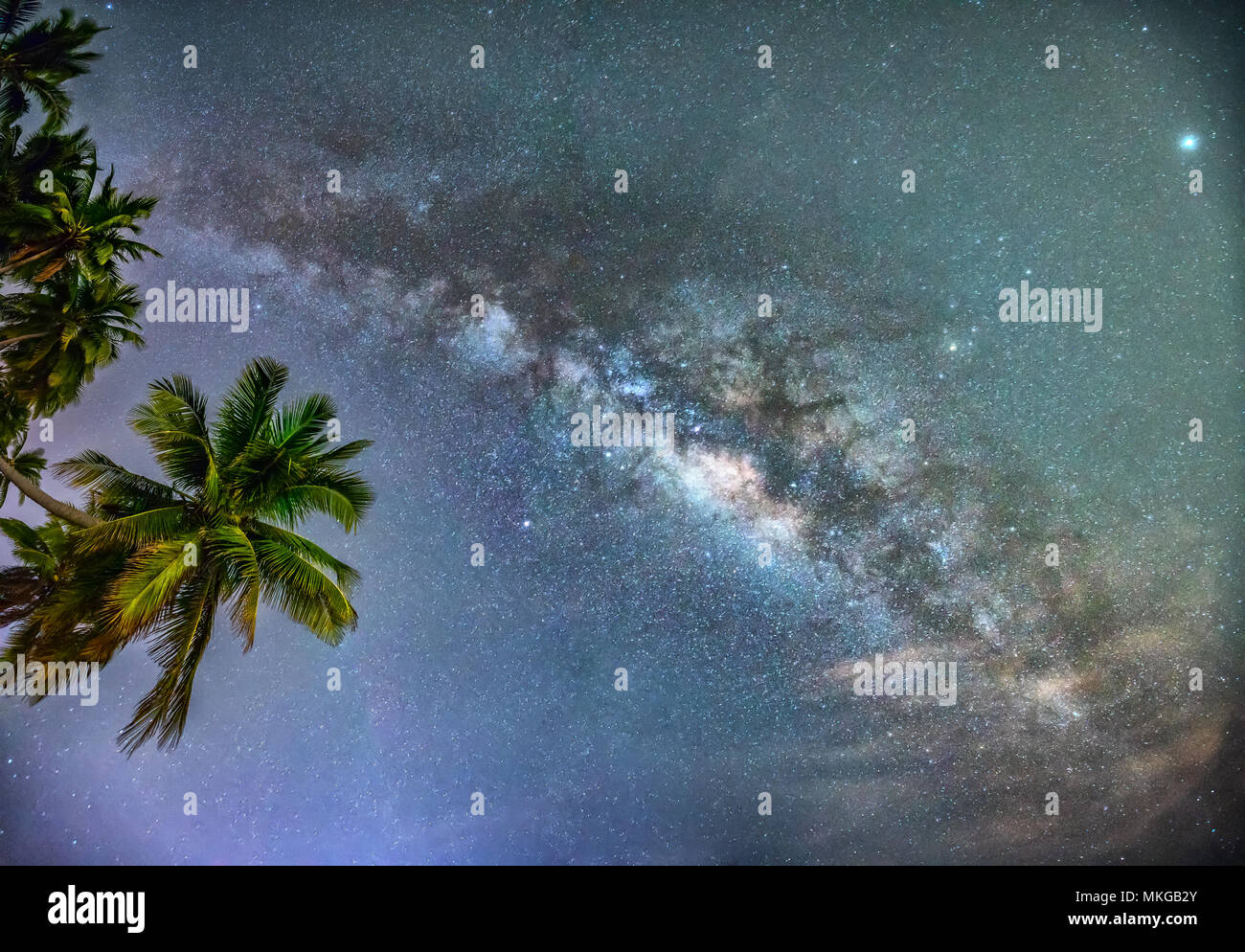 Midnight landscape with coconut palm tree Silhouette and Milky Way in the  sky on a beautiful summer night. Long exposure photograph Stock Photo -  Alamy
