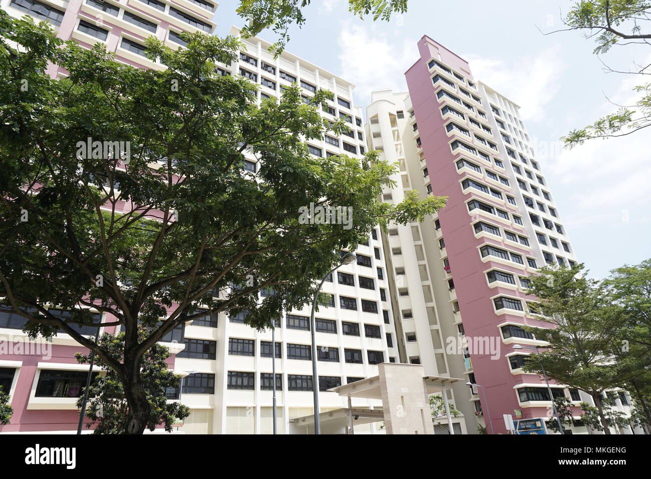 HDB flats in Bedok, Singapore. Bedok is a planning area and matured