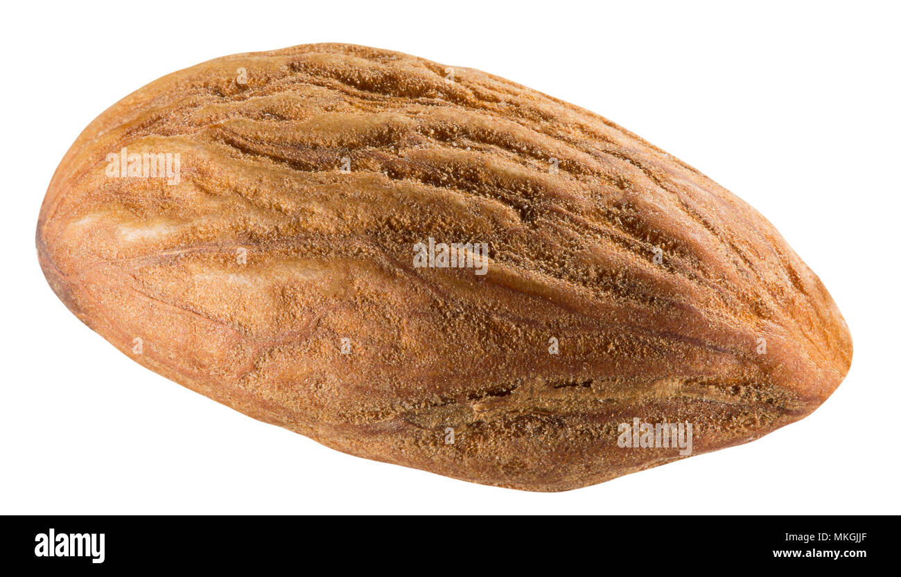almond isolated on a white background Stock Photo - Alamy