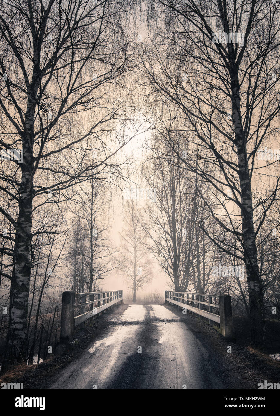 Foggy landscape with old bridge and road at spring morning in Finland Stock Photo