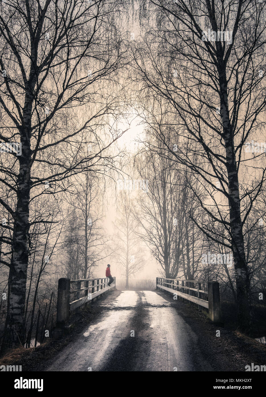 Foggy landscape with old bridge and road at spring morning in Finland. Man sitting in fence. Stock Photo