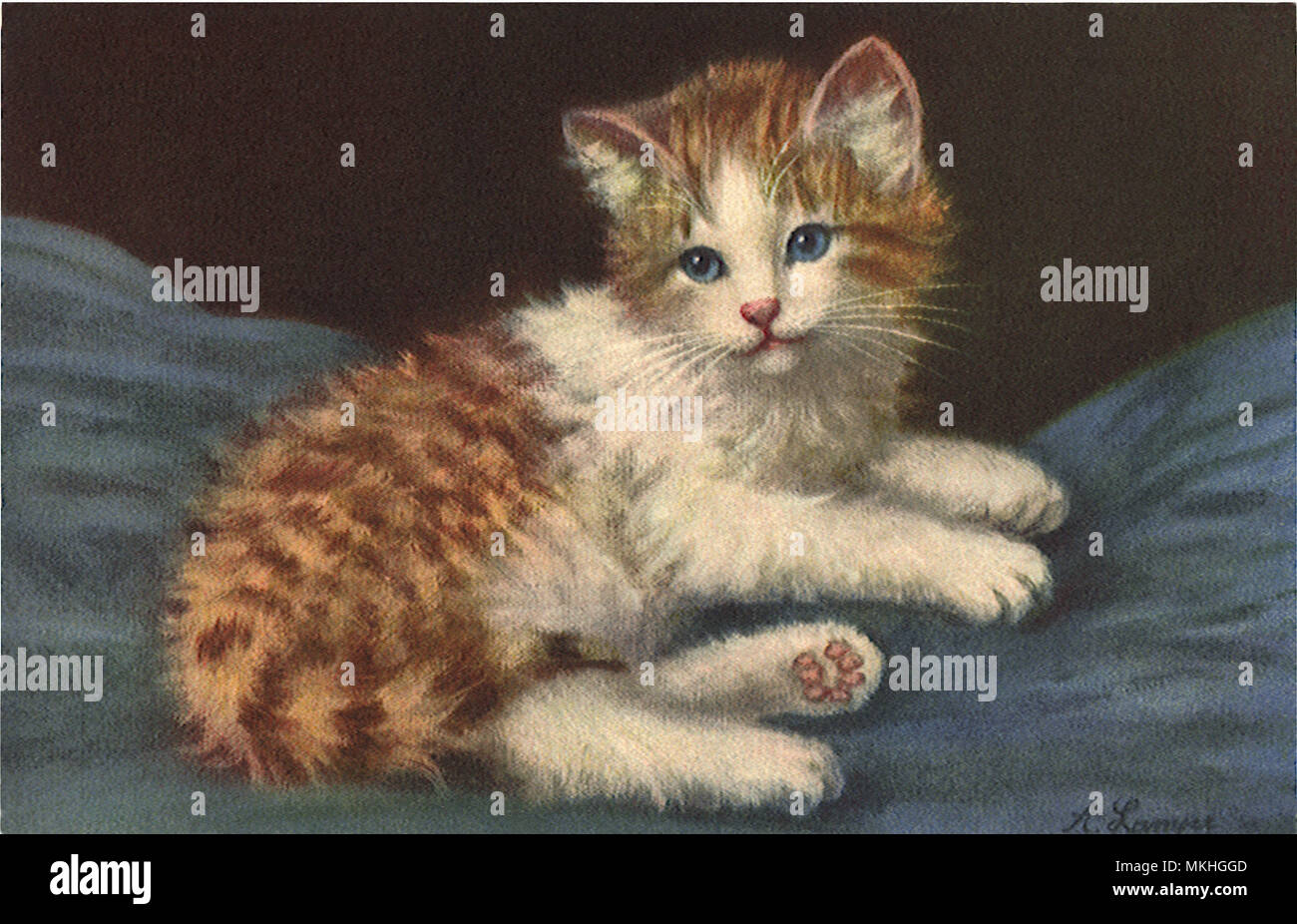 Kitten in the straw hi-res stock photography and images - Alamy
