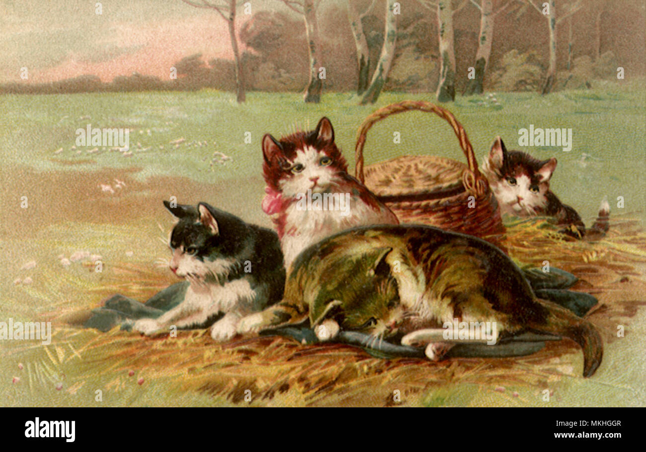 Cats and Picnic Basket Stock Photo