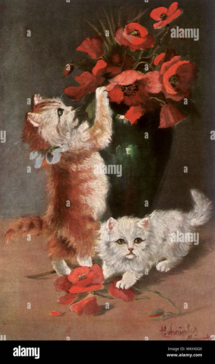 Kittens and Poppies Stock Photo