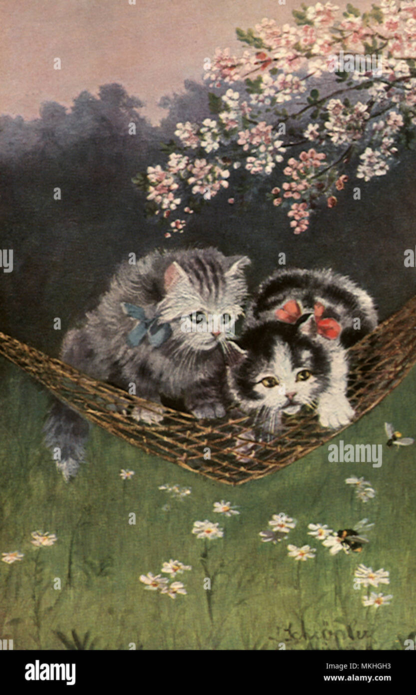 Kittens in a Hammock under Cherry Tree Stock Photo
