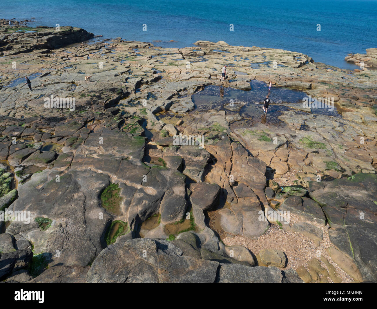 Seaton Sluice, Northumberland - the rocks of Collywell Bay. Stock Photo