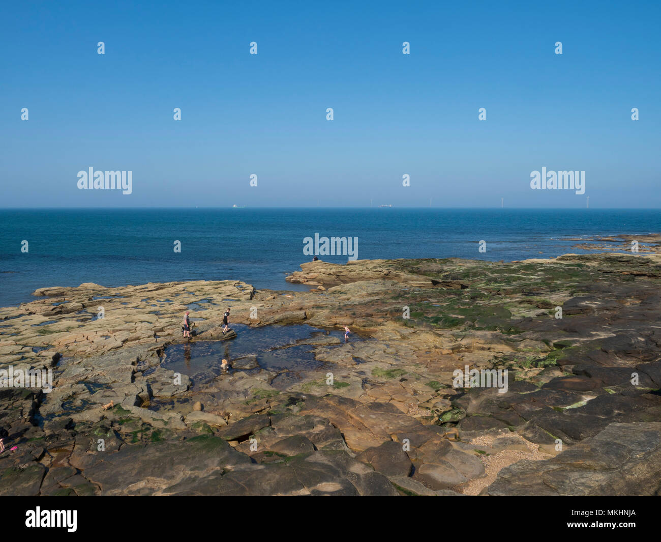 Seaton Sluice, Northumberland - the rocks of Collywell Bay. Stock Photo