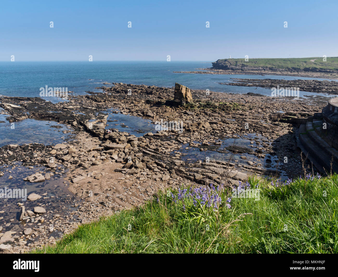 Seaton Sluice, Northumberland - the rocks of Collywell Bay. Stock Photo