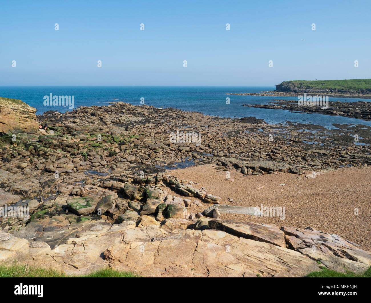 Seaton Sluice, Northumberland - the rocks of Collywell Bay. Stock Photo