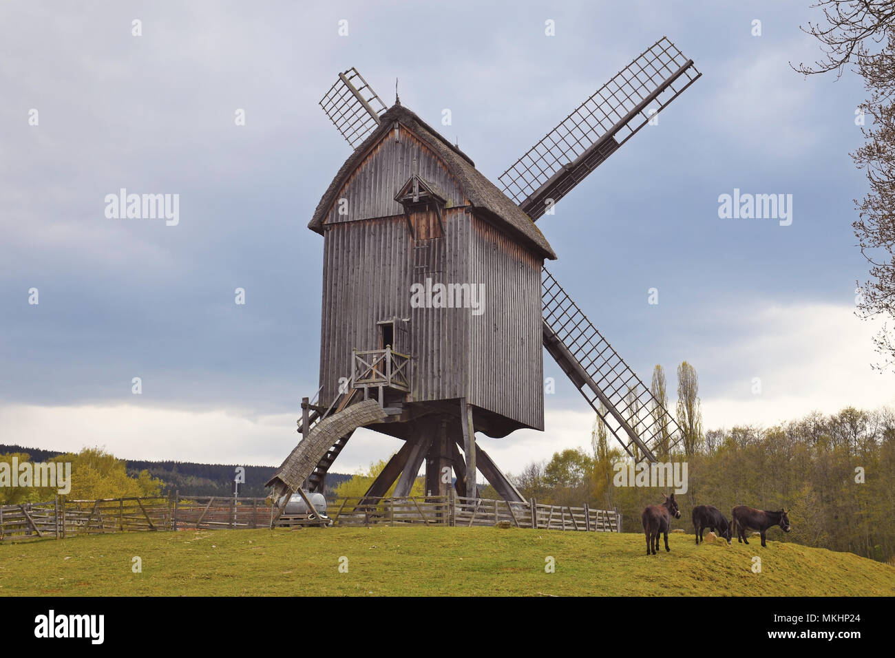 Historical windmill in the open-air museum Hessenpark, Hesse, Germany Stock Photo