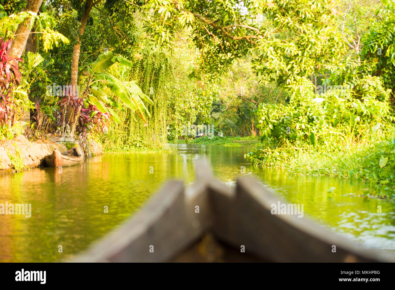 Blurred canoe sailing on the lush and green backwaters in Alleppey, Kerala, India. Stock Photo