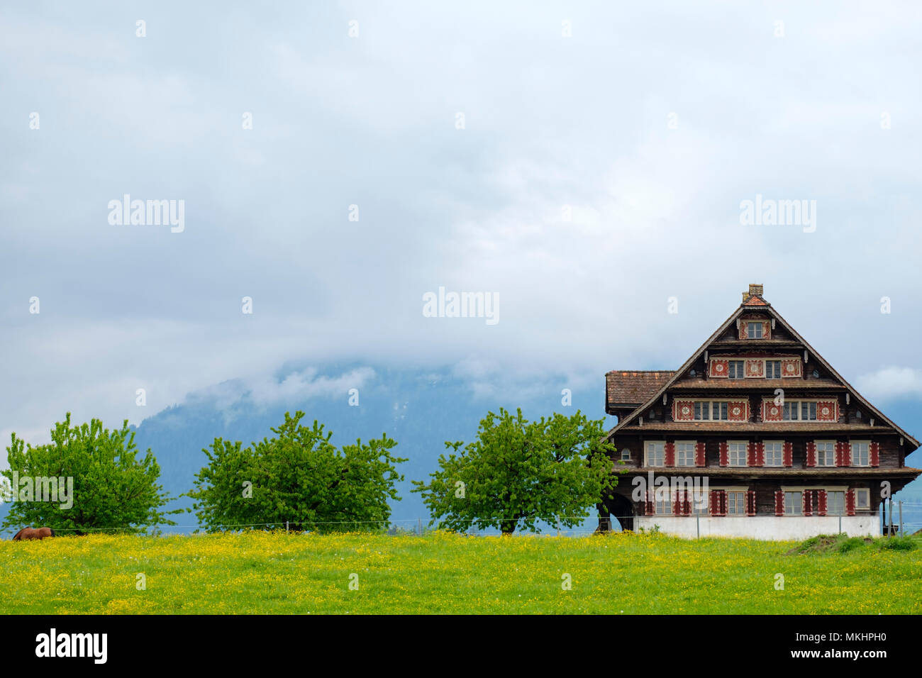 Traditional wooden house in the swiss countryside, Switzerland, Europe Stock Photo