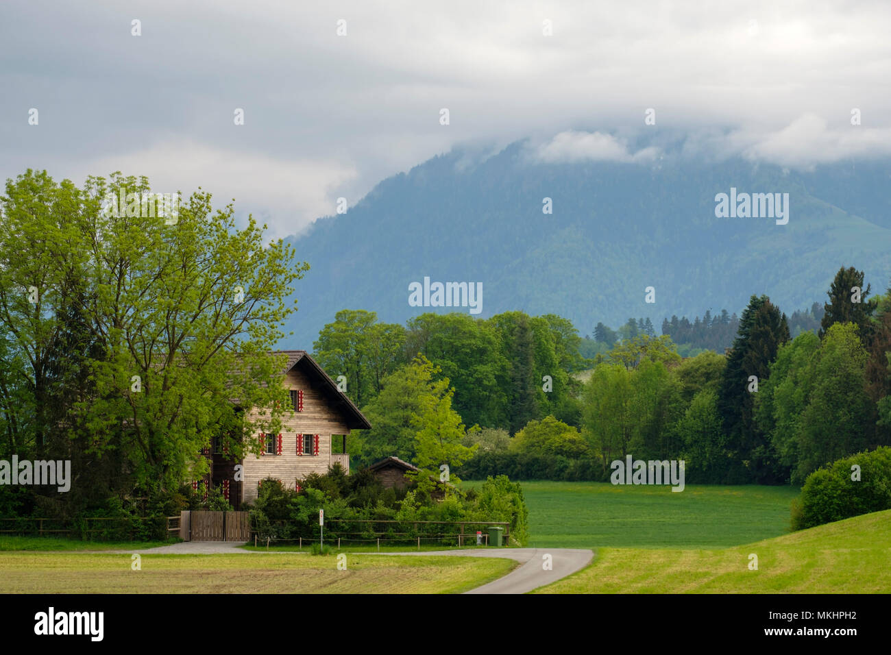 Traditional wooden house in the swiss countryside, Switzerland, Europe Stock Photo