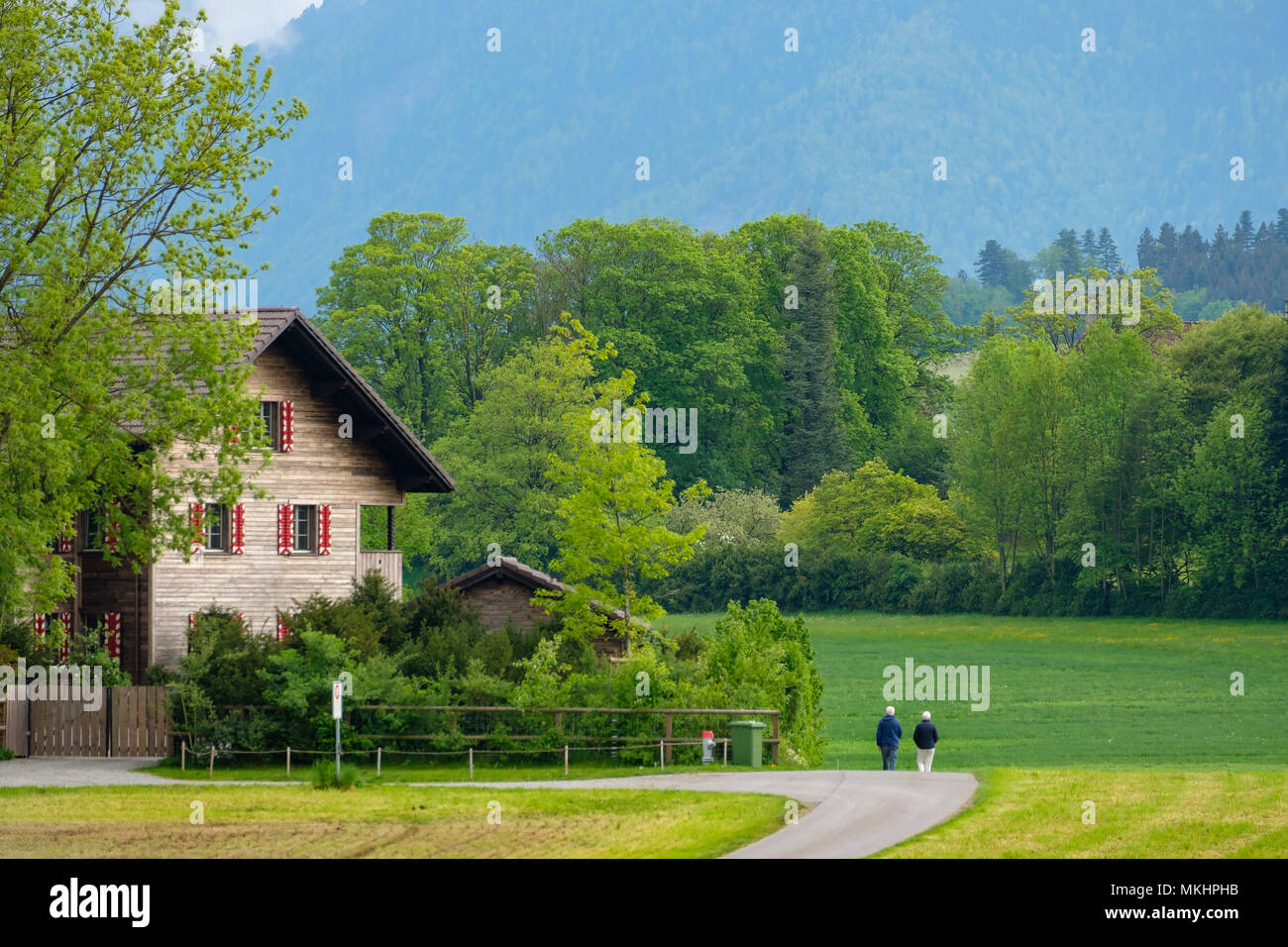 Traditional wooden house in the swiss countryside, Switzerland, Europe Stock Photo