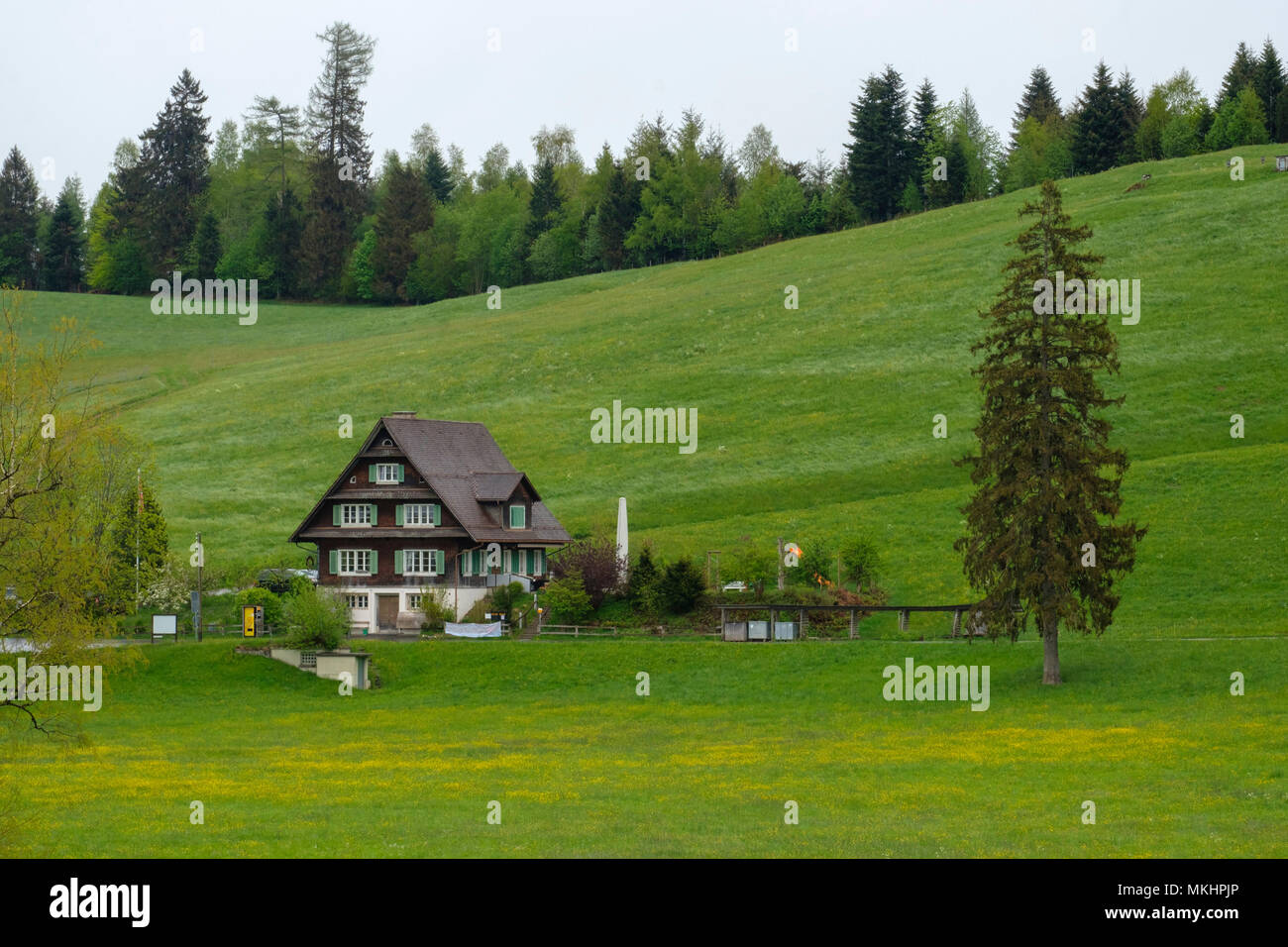 Traditional wooden house in the swiss countryside, Switzerland, Europe Stock Photo