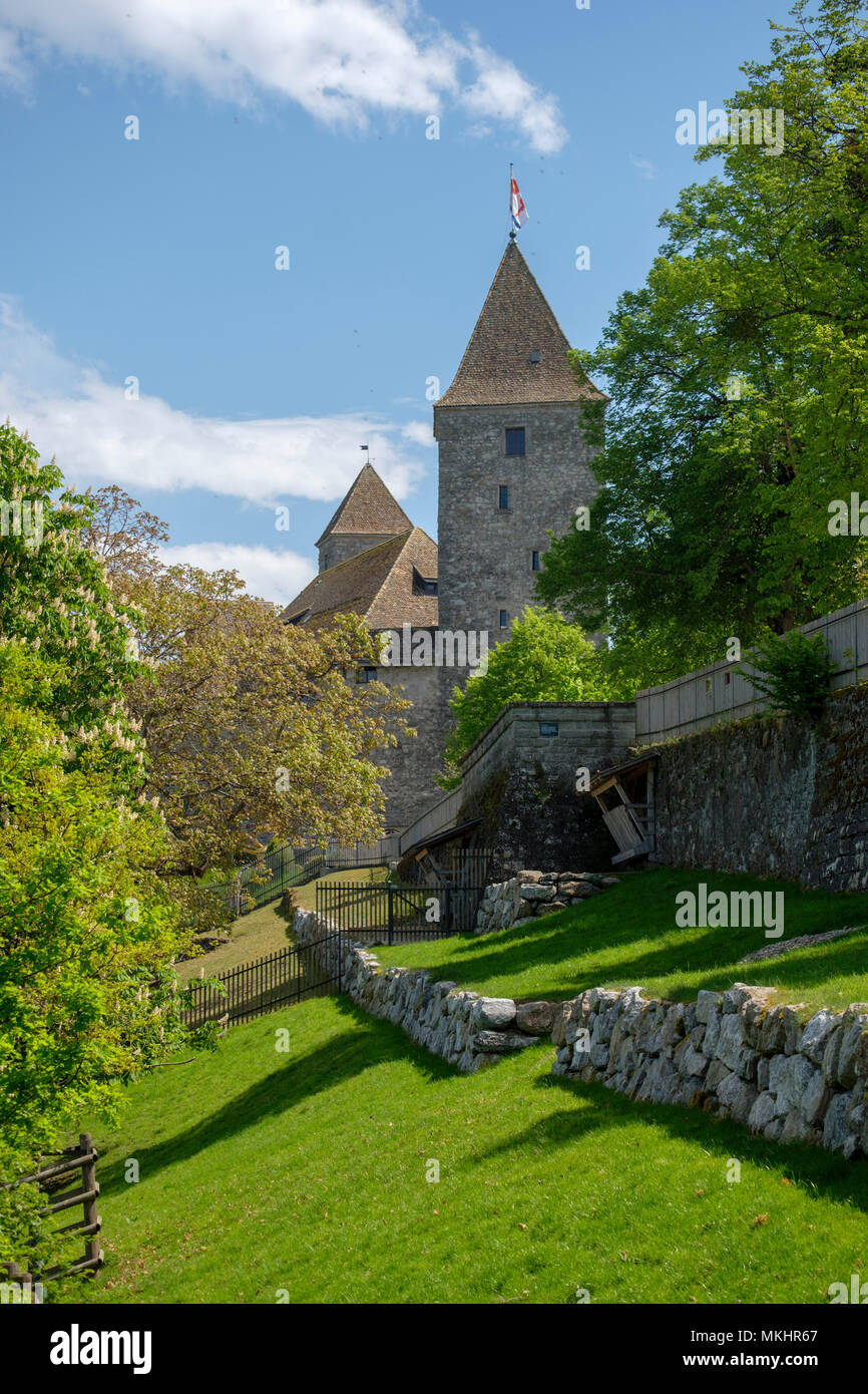 Rapperswil castle in RapperswilJona, Switzerland, Europe Stock Photo