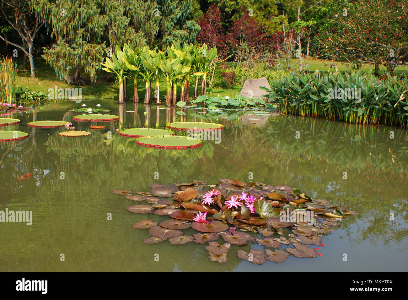 Taman Bunga Nusantara Flower Park Lake, Cipanas, Bogor, West Java