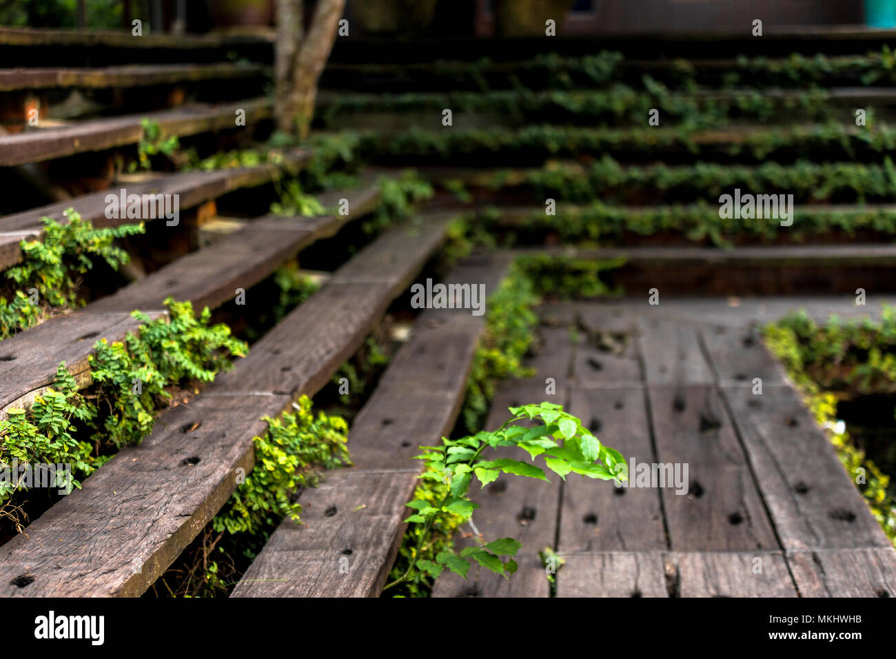Architecture House Malay Traditional Stock Photos 