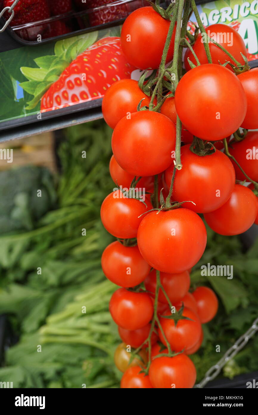 Red cherry tomatoes on the vine Stock Photo - Alamy