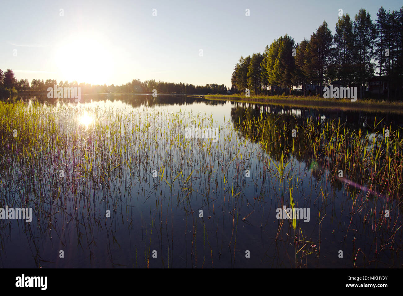 Sunset over a lake during the summer solstice in Gargnäs, Sweden. Tree reflections in the perfectly still water of the pond. Stock Photo