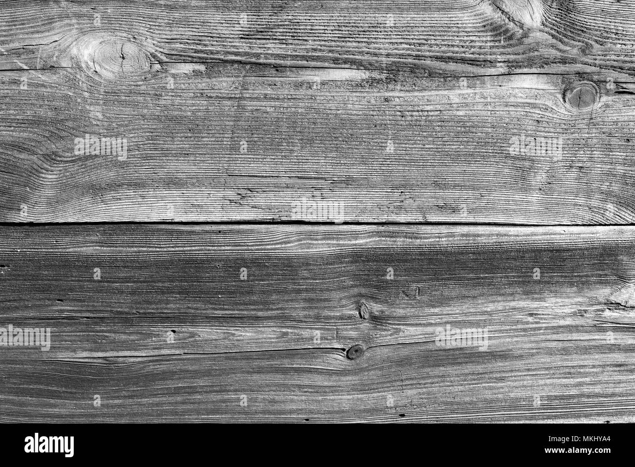Old wood structure, wood pattern, plank, board. 200 years old wooden wall. Sharp, good visible growth rings, parallel lines and curves. Black & white. Stock Photo