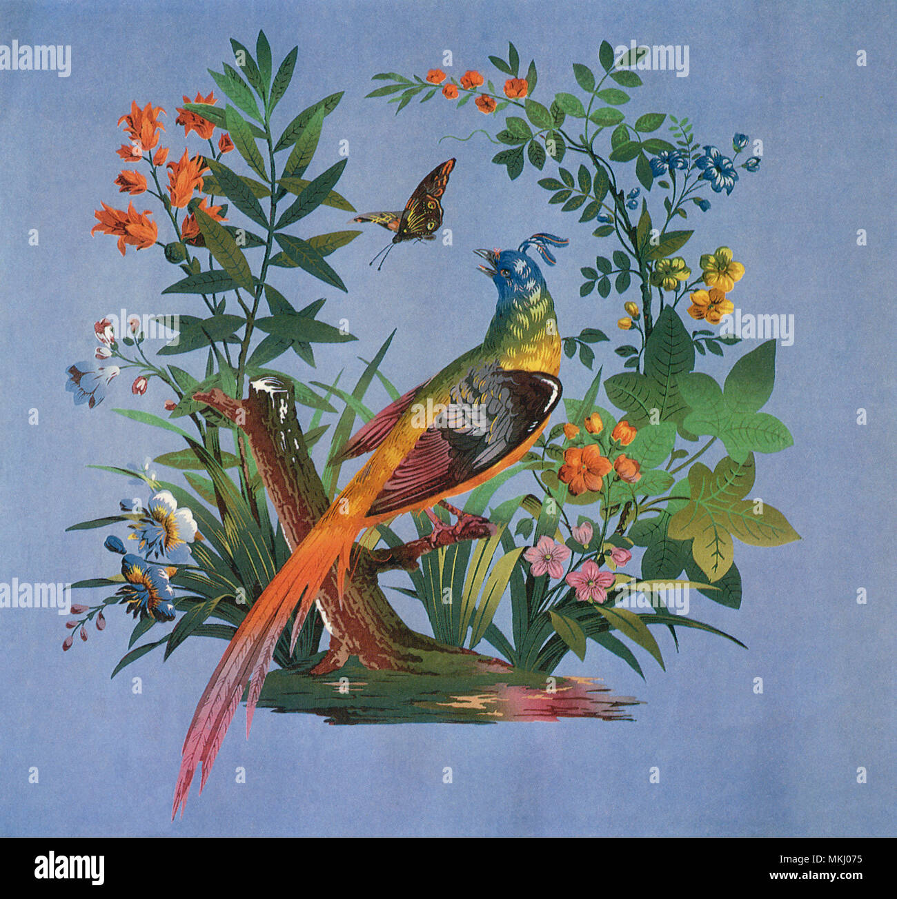 Birds among flowers hires stock photography and images Alamy