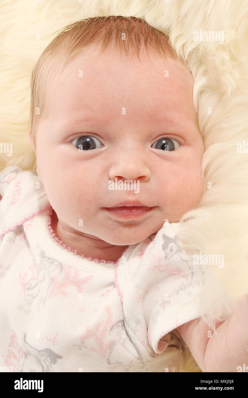2 week old baby girl Stock Photo Alamy