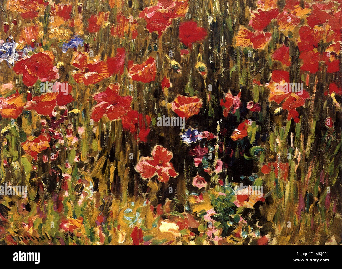 Poppies flowers other plants hi-res stock photography and images - Alamy