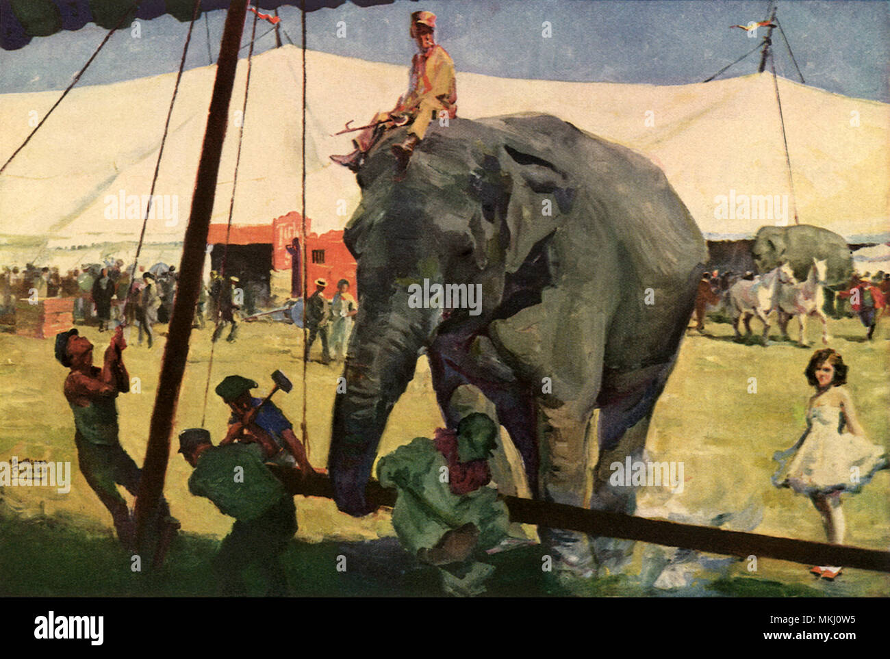 Circus Elephant at Work Stock Photo