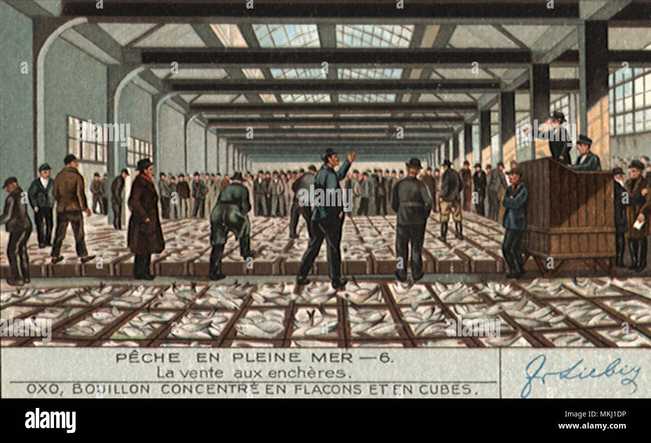 Fish Crates in Hangar Stock Photo Alamy