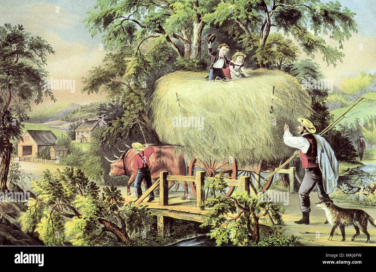Oxen Pulling Hayride Stock Photo