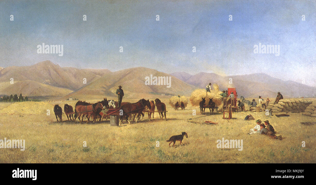 Harvest with horses hi-res stock photography and images - Alamy