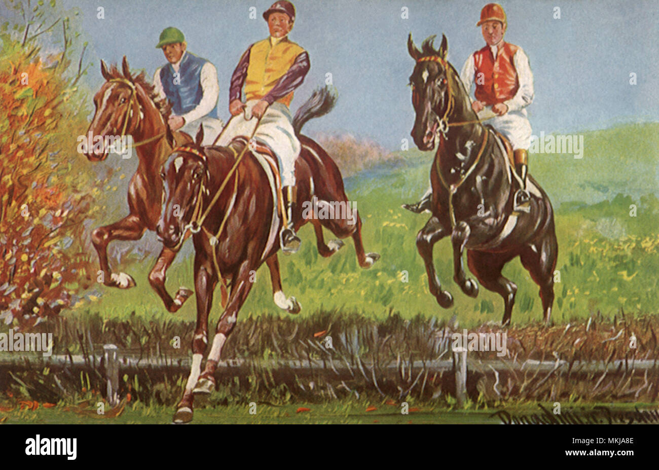 Cross-Country Horserace Stock Photo
