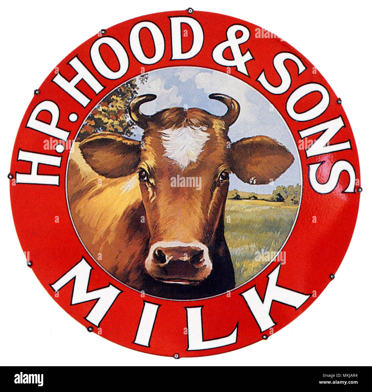 Cow head vintage hires stock photography and images Alamy