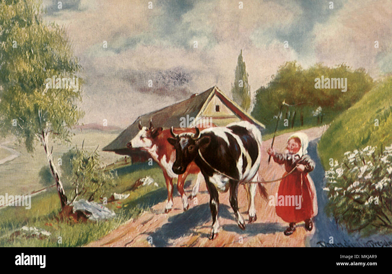 Girl Walking Cows Stock Photo - Alamy