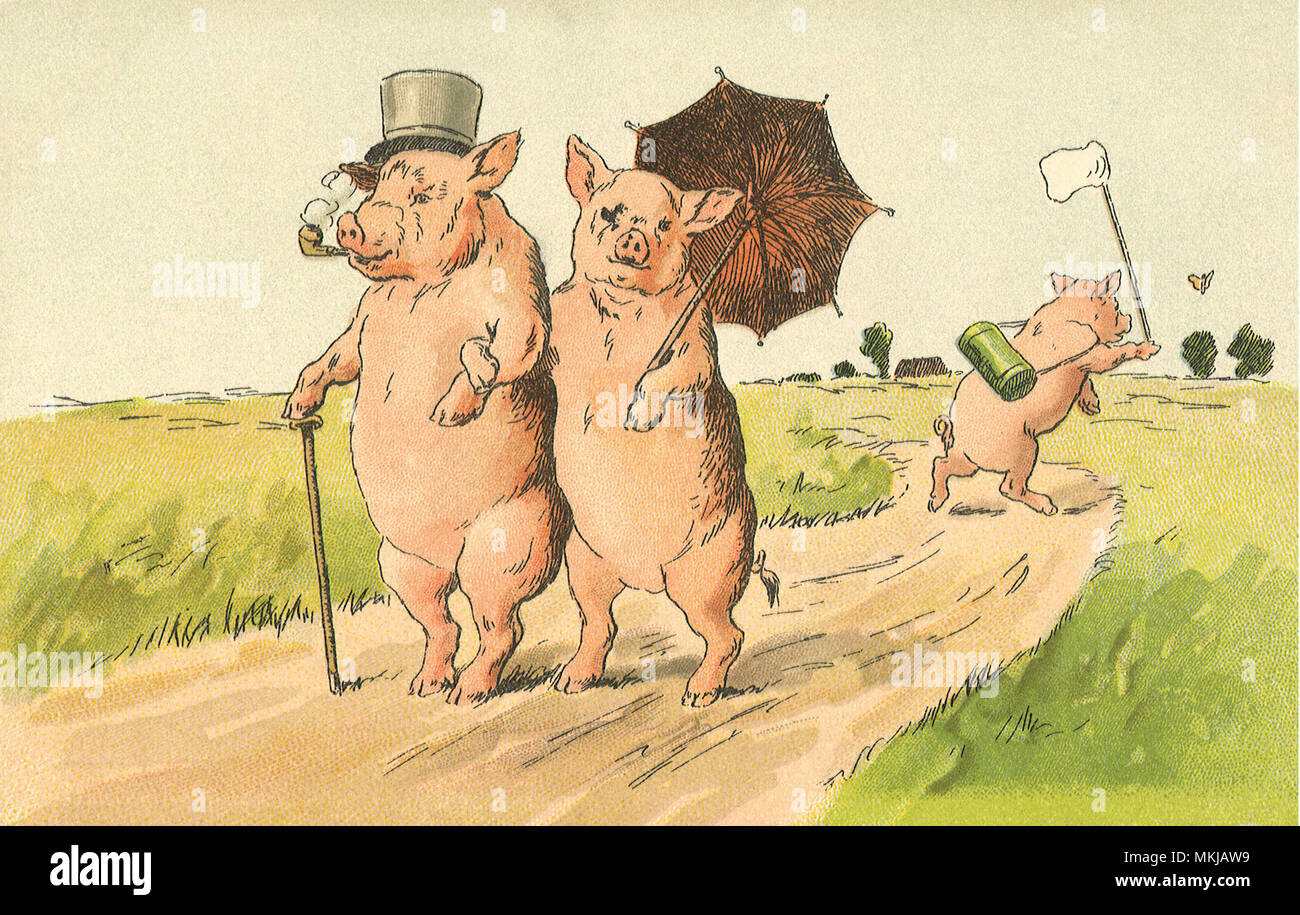 Свинки гуляют. Свинья с друзьями. Поросенок сектант. Три поросенка иллюстрации.