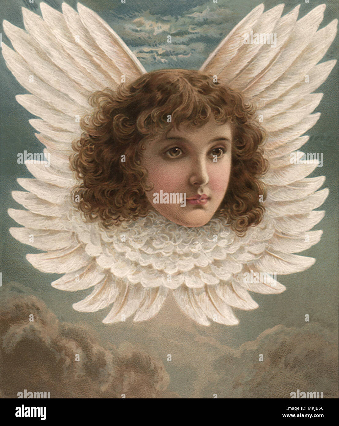 Feathered Angel Head Stock Photo