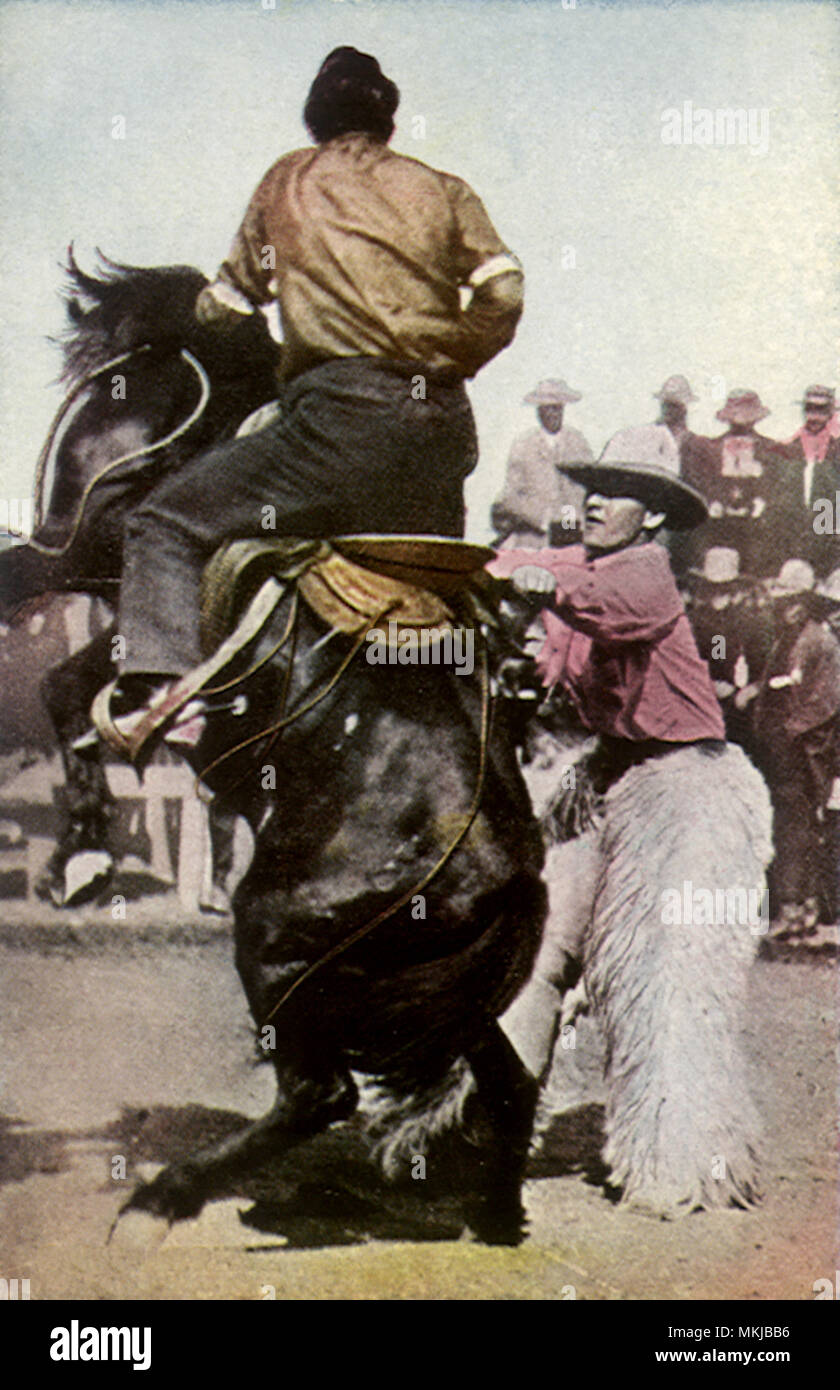 First Bronco Ride Stock Photo - Alamy