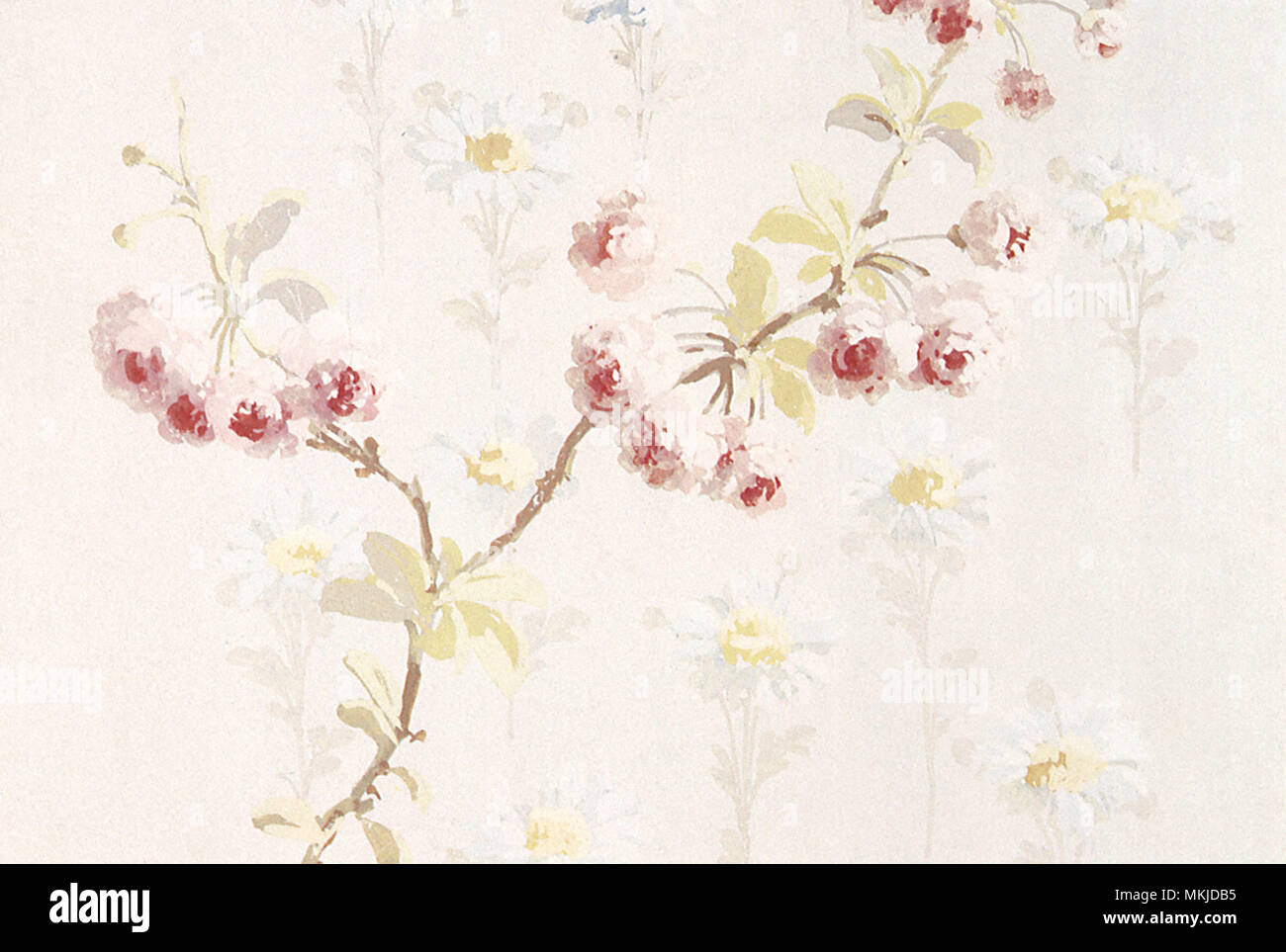 A branch with white flowers with red centers on an offwhite Stock