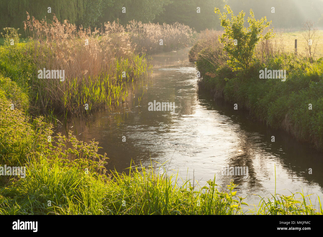 Bottesford scunthorpe hires stock photography and images Alamy