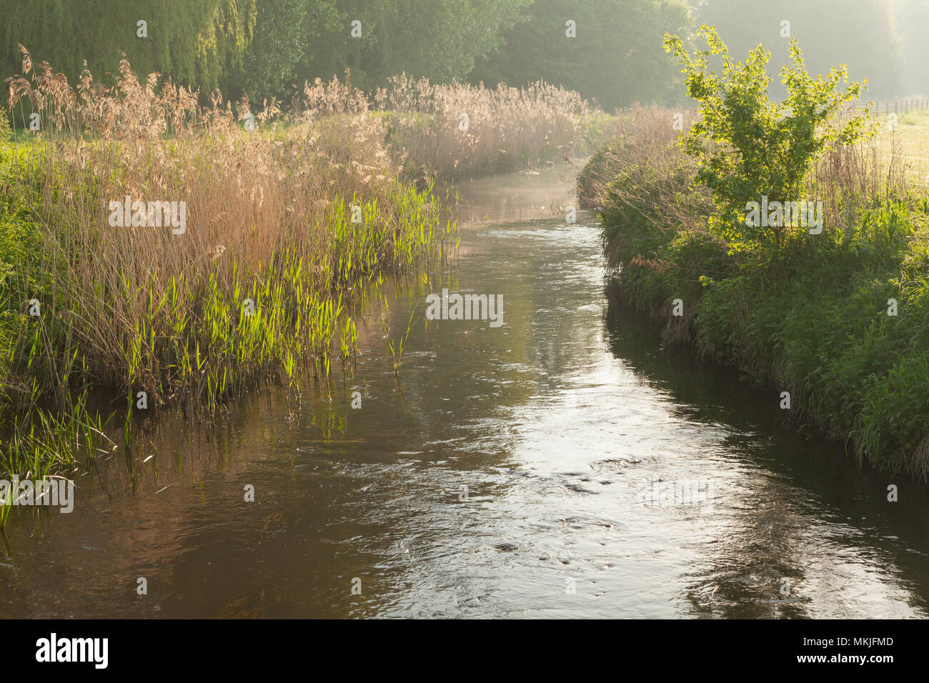 Bottesford hires stock photography and images Alamy