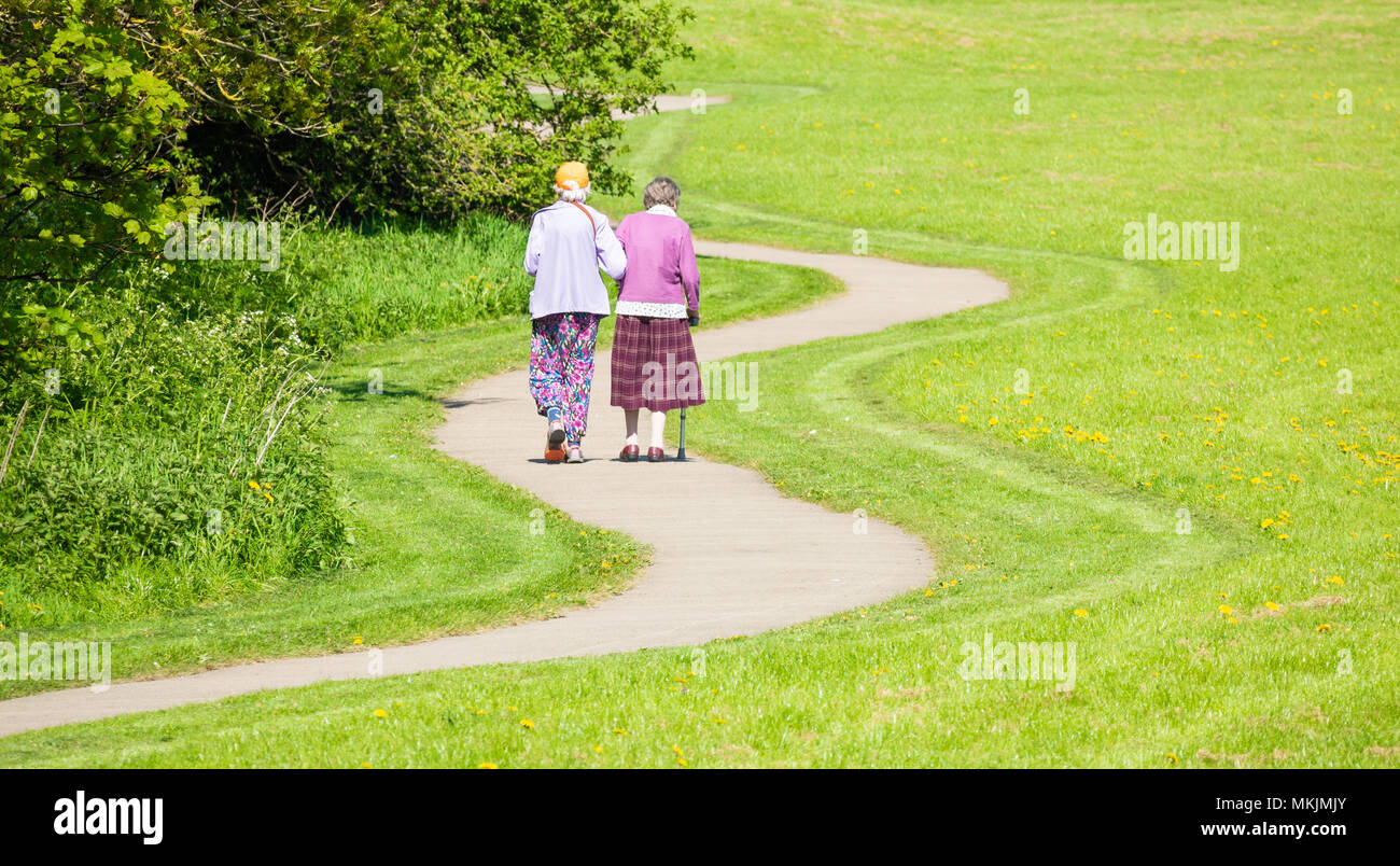 Rear view of elderly women walking in park hi-res stock photography and ...