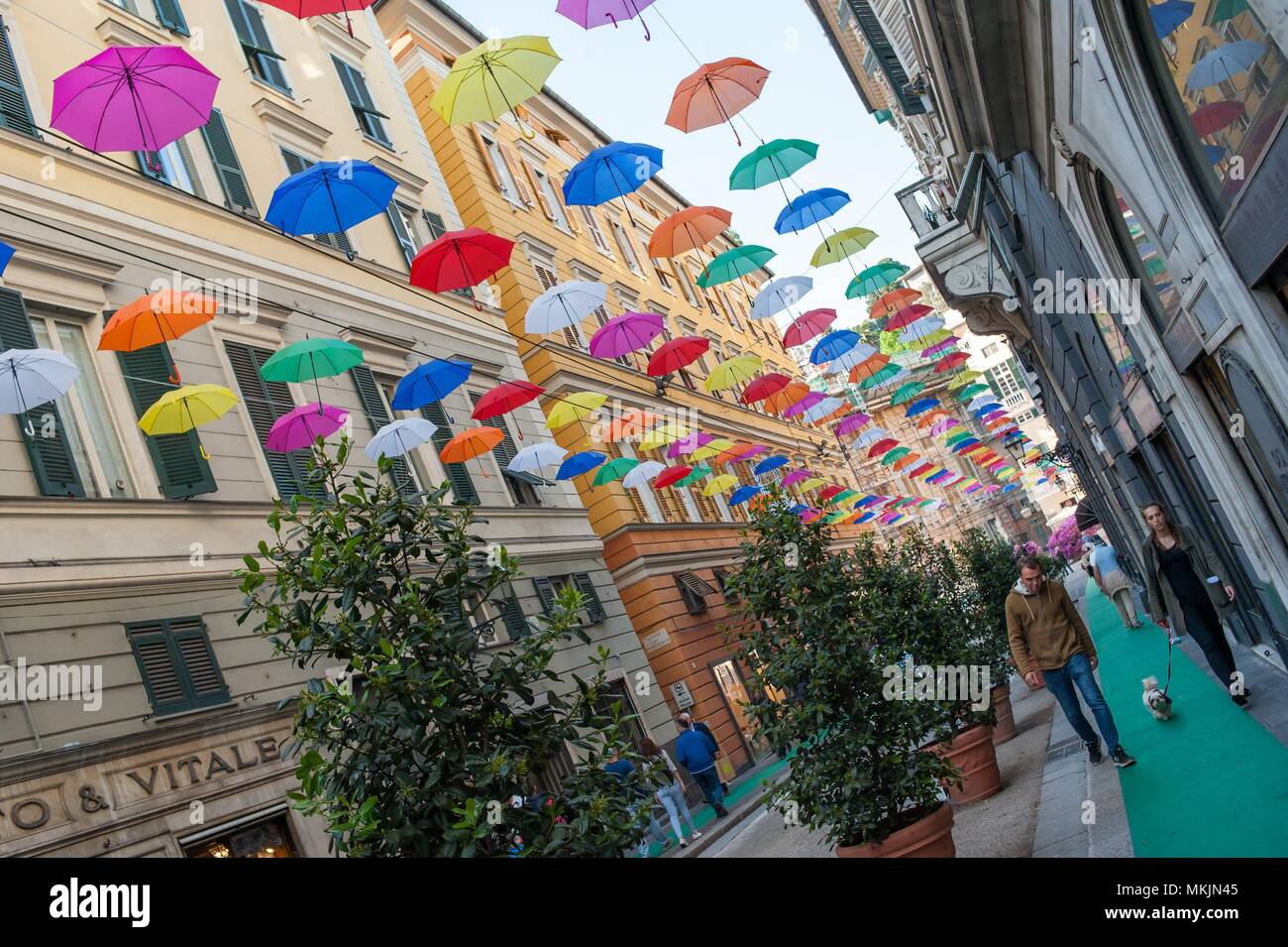 27/04/2018 Genoa (Italy) Umbrellas hanging on the top of the GenoaÂ´  streets as touristic attraction. / Paraguas colgados en las calles del  centro de la ciudad de GÃ©nova como reclamo turÃstico. The