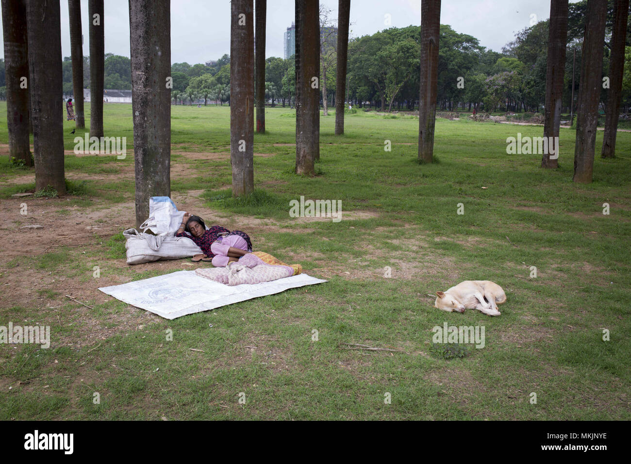 Dhaka, Bangladesh. 8th May, 2018. DHAKA, BANGLADESH - MAY 08 : A homeless women sleeps in a park in Dhaka, Banhladesh on May 08, 2018. Credit: Zakir Hossain Chowdhury/ZUMA Wire/Alamy Live News Stock Photo