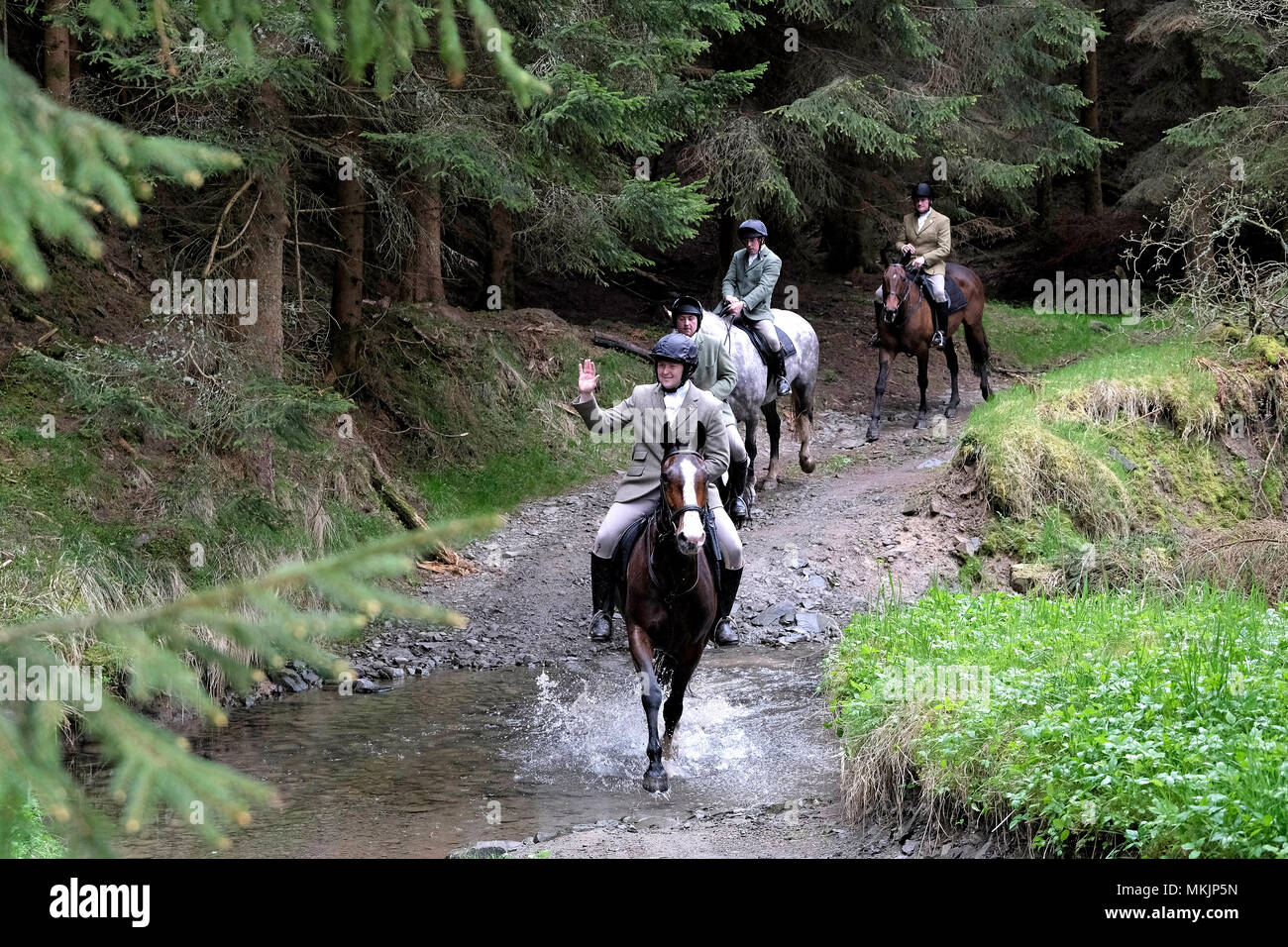 Teribus ye teri odin hires stock photography and images Alamy